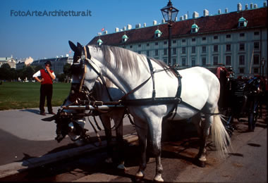 carrozza