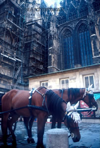 Cattedrale St Estefan