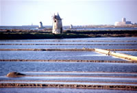 Mulino Saline - Sicilia