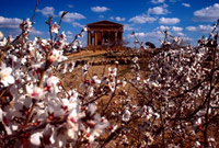 tempio della concordia