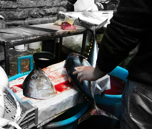 mercato del pesce di Catania