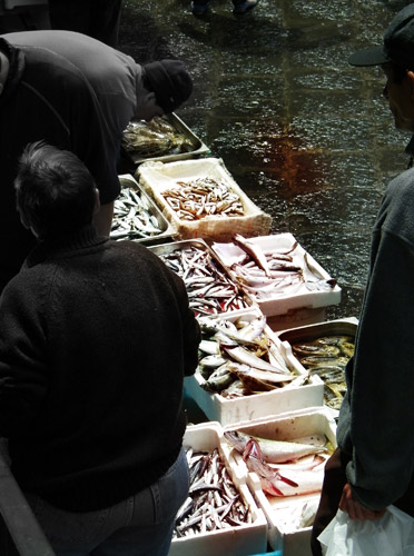 mercato del pesce di Catania