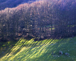 Parco delle Madonie