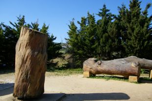 Il pino della tomba di Pirandello - passeggiata al pino
